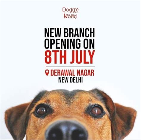 doggy world rohini|doggy world rohini hours.